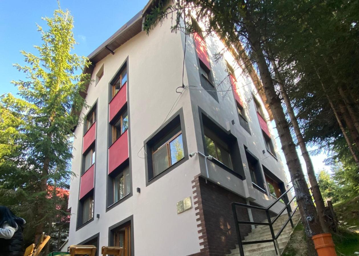 Altitude Guest House รานกา ภายนอก รูปภาพ
